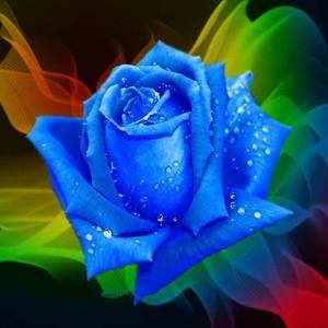 Meet your Posher, Mary ann